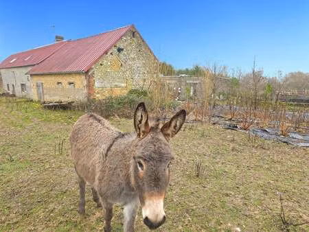 vente maison à sainte-scolasse-sur-sarthe (61170) : à vendre / 184m² sainte-scolasse-sur-s