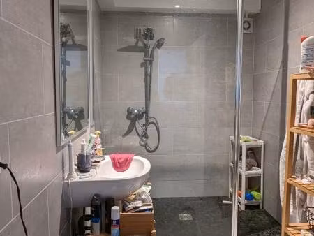 riedisheim - joli t3 de 58m²