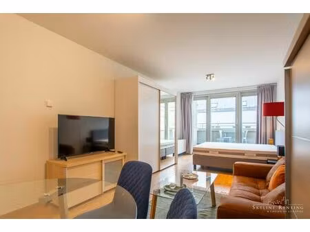 mooi gemeubelde studio met terras bij eu-parlement