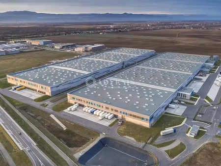 entrepot - logistique a louer