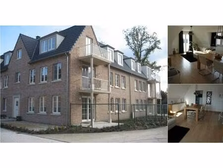 appartement à louer à poederleeseweg 74 lille (rbv34177)