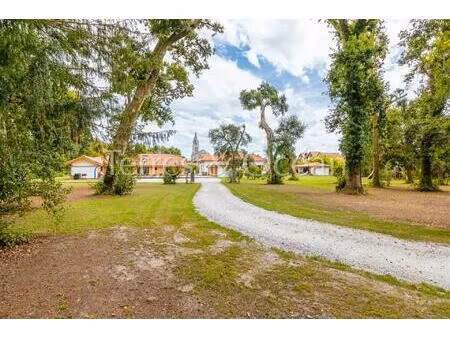 propriete renovee sur un airial 1 1ha  plusieurs maisons