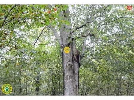 local commercial à vendre