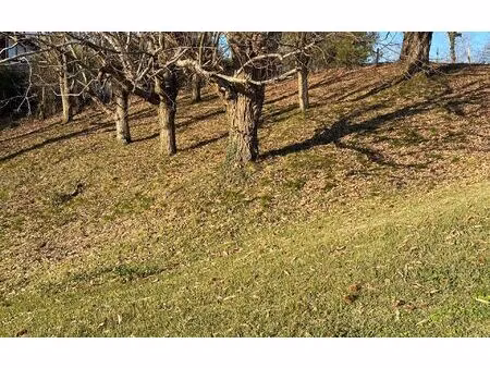 terrain mouguerre m² t- à vendre  285 000 €