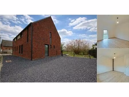 maison à louer à rue de la chapelle 50 antoing (vwd16714)