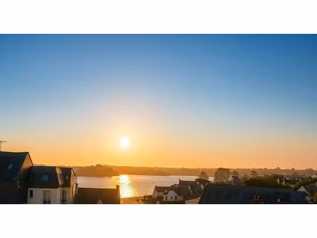 superbe t1/2 dernier étage vue mer