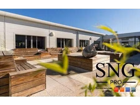 sng extensia