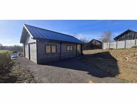 maison en bois neuve de type chalet