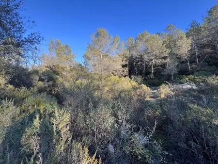 vente terrain 1000 m² roquefort-les-pins (06330)