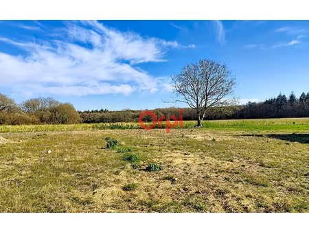 terrain trédion m² t- à vendre  99 500 €