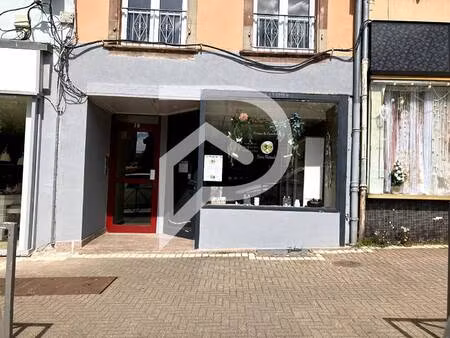 stephane plaza immobilier