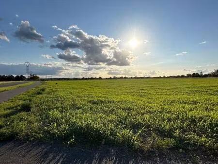 terrain constructible viabilisé à vendre