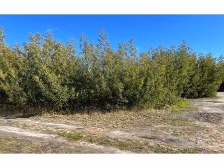 terrain constructible viabilisé à vendre