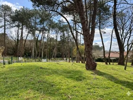 terrain constructible viabilisé à vendre