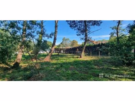 terrain constructible viabilisé à vendre