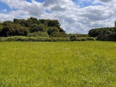terrain constructible viabilisé à vendre