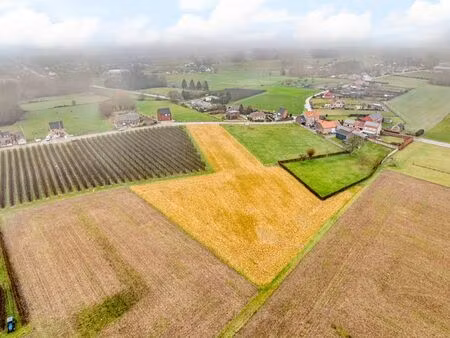 terrain à vendre à hoeleden € 35.000 (llbul) - bo & mie | zimmo