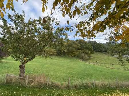 terrain à bâtir à vendre à bracht - commune de burg-reuland