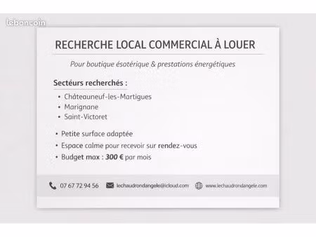 recherche local commercial