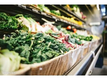 fonds de commerce alimentation  épicerie 190 m²