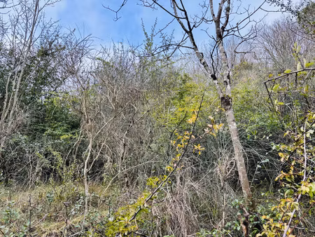 terrain non contructible