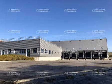 location entrepôt logistique baziège 31450