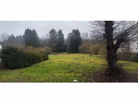 evette-salbert 90350 : terrain 52ares60 avec