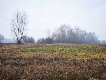 vente terrain 642 m² à viterbe (81220)  51 000 €