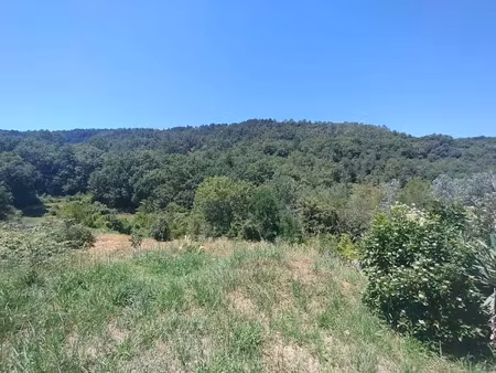 vente terrain 1091 m² à salavas (07150)  55 000 €