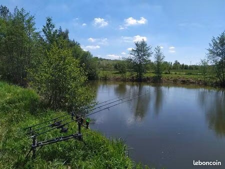 terrain de loisirs avec étang poissonneux – monampteuil