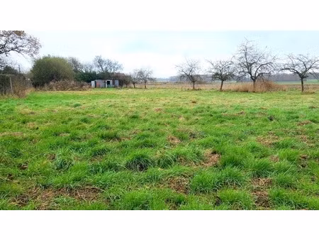 le favril - terrain constructible - 1916 m²