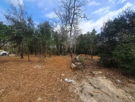 vente terrain 1338 m² à labastide-de-virac (07150)  93 900 €