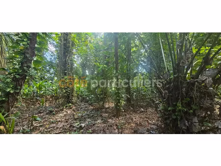 vente terrain 3197 m² à lamentin (97129)  477 000 €