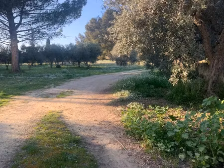 vente terrain 664 m² à saint-chamas (13250)  235 000 €
