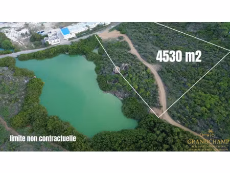 vente terrain 4530 m² à saint-martin (97150)  945 000 €
