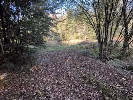 vente terrain 9200 m² à andornay (70200)  76 000 €