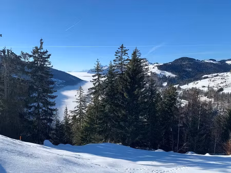 vente terrain 450 m² à cohennoz (73400)  290 000 €