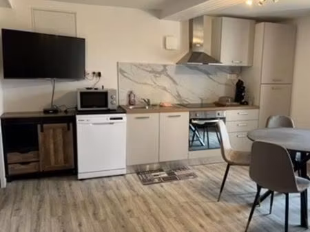 superbe f2 entièrement rénové & meublé – moderne & lumineux