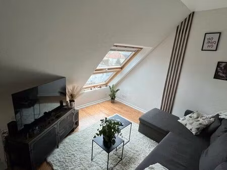 appartement rénové - meublé