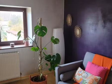 location appartement/maison en duplex  f4 à saint sauveur