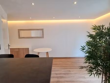 duplex appartement lumineux et chaleureux 65m2 a 100 mètres de la gare