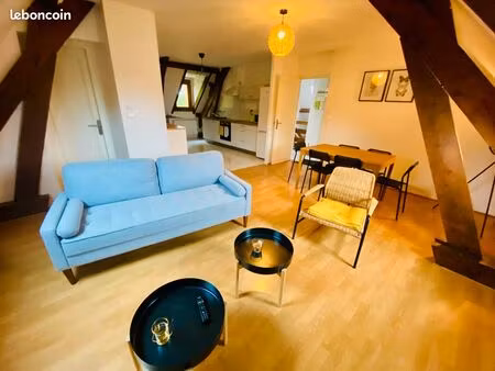 f3 meublé 60m² centre sully château