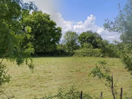 vente terrain 1200 m² à moulon (33420)  105 000 €