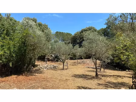 vente terrain 900 m² à camps-la-source (83170)  131 000 €