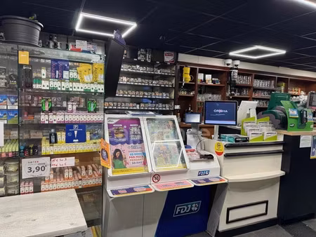vente locaux professionnels 7 pièces 248 m² à ploumilliau (22300)  626 000 €