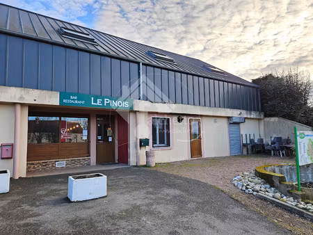 vente locaux professionnels 140 m² à le pin (03130)  44 000 €