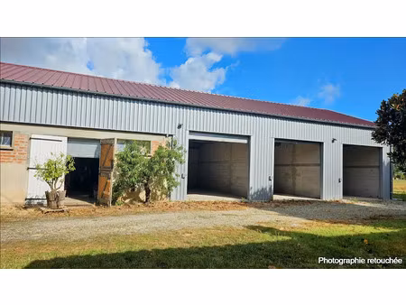 vente locaux professionnels 250 m² à villemur-sur-tarn (31340)  219 000 €