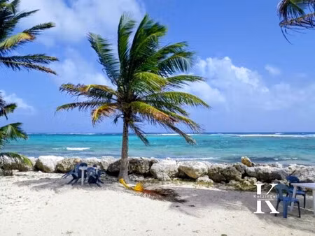 maison à vendre capesterre-de-marie-galante