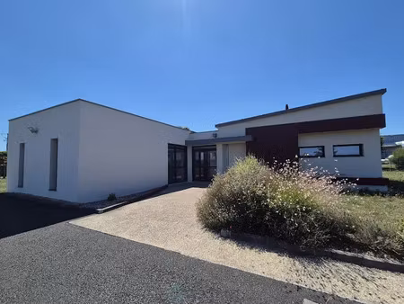 vente locaux professionnels 141 m² à montrichard (41400)  255 000 €