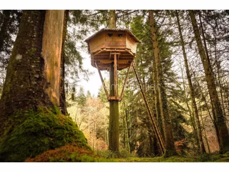 vente locaux professionnels à saint-gervais-d'auvergne (63390)  535 000 €